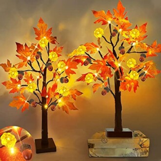 Lighted Maple Tree