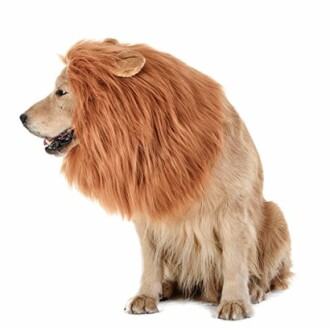 Lion Mane for Dogs